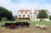 Gartenansicht Hotel