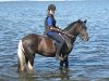 Reiturlaub