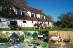 Willkommen auf dem Ponyhof M&uuml;ller