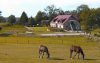 Reitmoeglichkeit am Ferienhof