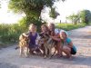 Spazieren mit unseren Hunden