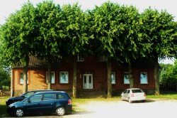 erholsamer Familienurlaub auf dem Bauernhof
