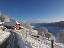 Winter am Schlossberg