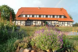 Stolperhof auf der Sonneninsel Usedom Stolperhof auf der Sonneninsel Usedom