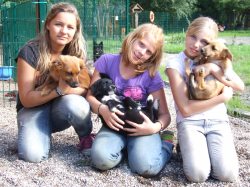 Ferienkinder 2011