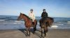 Mit dem Pferd an die Ostsee