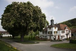Das Gutshaus