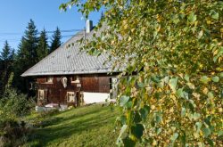 Ferienhaus B&uuml;hlhof Furtwangen