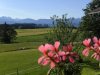 Bergblick