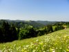 Sommer