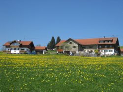 Der Biobauernhof Holzer