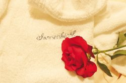 Zeit zum schwelgen Zeit zum schwelgen