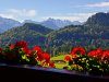 dsc03995 dsc03995