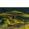 Mountain_Bike...