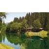 Auwaldsee mit...