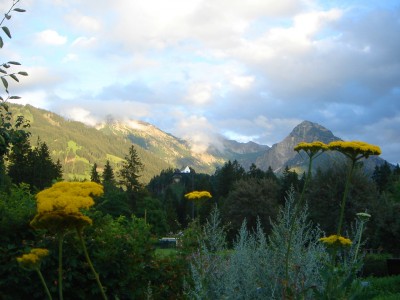 Kräutergarten mit Blick aufs Rubihorn