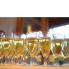 Prosit