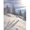 Winteridylle