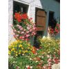 Blumenschmuck
