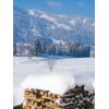 Wintervorrat