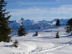 Winterzauber im Oberallgäu Herrlich verschneite Wintelandschaft