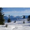 Winterzauber ...
