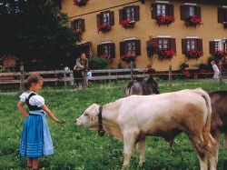 Gegenseitiges Beschnuppern Das Kälbchen prüft genau, was ihm angeboten wird.