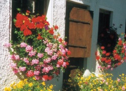 blumenschmuck_ausschnitt_1280x924