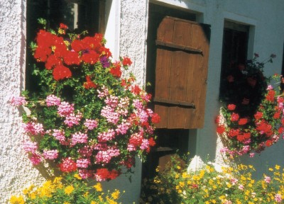 blumenschmuck_ausschnitt_1280x924