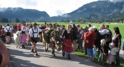 viehscheid