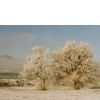 Winteridylle