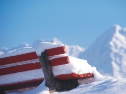 Es ist Winter! Winterimpressionen