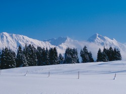 Berge im Winter Eine unberührte Winterwunderwelt lädt ein, entdeckt zu werden.