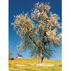 Frühling
