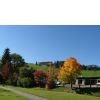 Herbst in Fis...