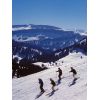 Skifahrer Fre...