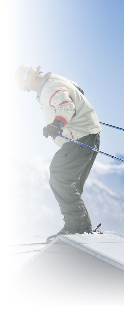 Freestyle Ski