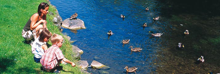 Enten fuettern