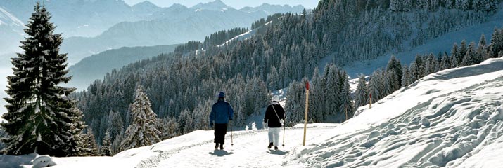 Winterwandern in Fischen