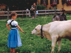 Gegenseitiges Beschnuppern