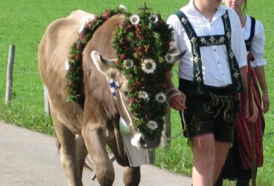 Viehscheid