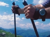 nordicwalkingstcke_ausschnitt_175x130