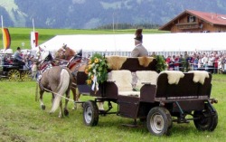 Kutschfahrt
