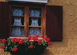 blumenschmuck_ausschnitt_724x521