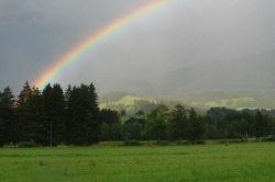 Regenbogen Am Ende des Regenbogens...