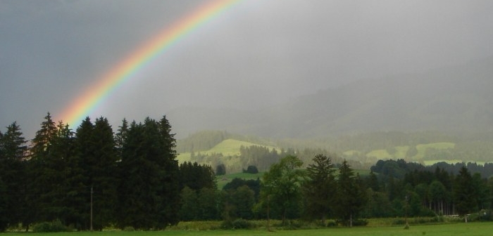 Regenbogen