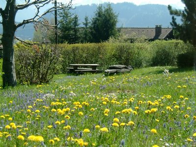 Grillplatz im Garten Grillplatz im Garten