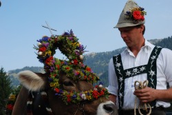 Alpe Lenzen