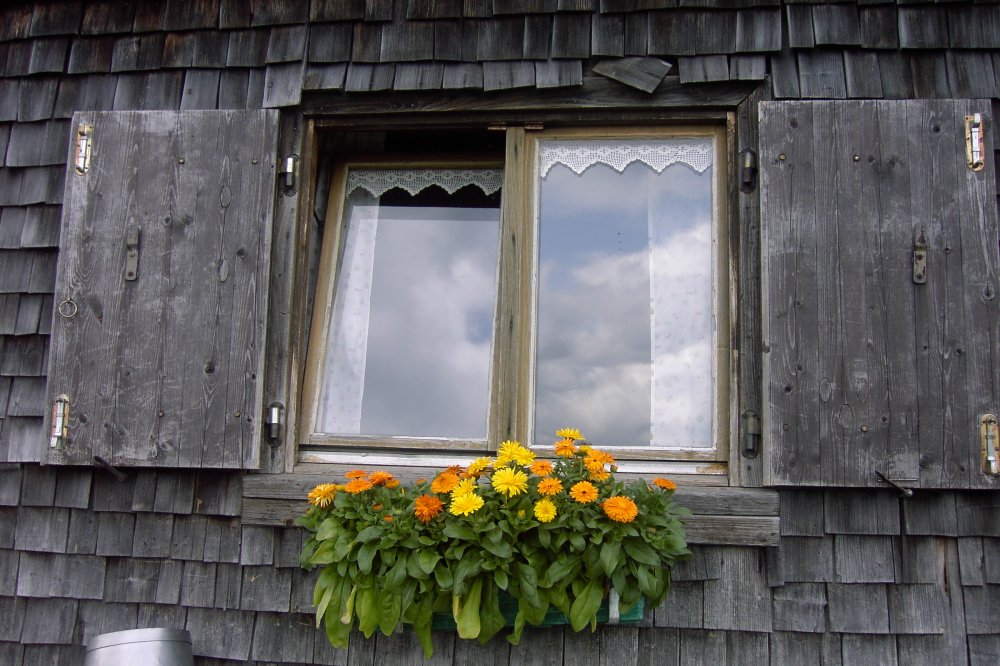 Fenster