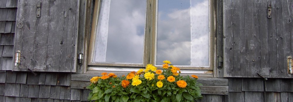 Fenster Header